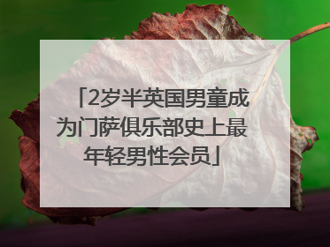 2岁半英国男童成为门萨俱乐部史上最年轻男性会员