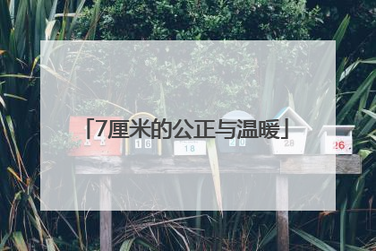 7厘米的公正与温暖