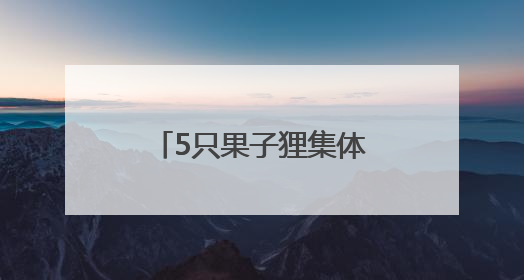 5只果子狸集体亮相湖南南山国家公园候选区