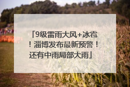 9级雷雨大风+冰雹！淄博发布最新预警！还有中雨局部大雨
