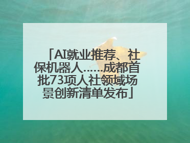 AI就业推荐、社保机器人……成都首批73项人社领域场景创新清单发布