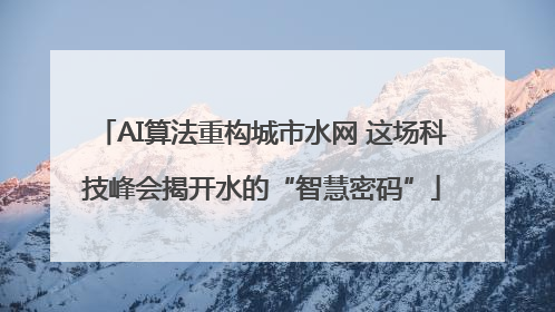 AI算法重构城市水网 这场科技峰会揭开水的“智慧密码”