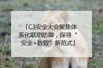 C3安全大会聚焦体系化联动防御，探寻“安全+数智”新范式