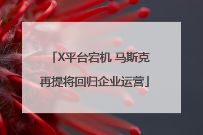 X平台宕机 马斯克再提将回归企业运营